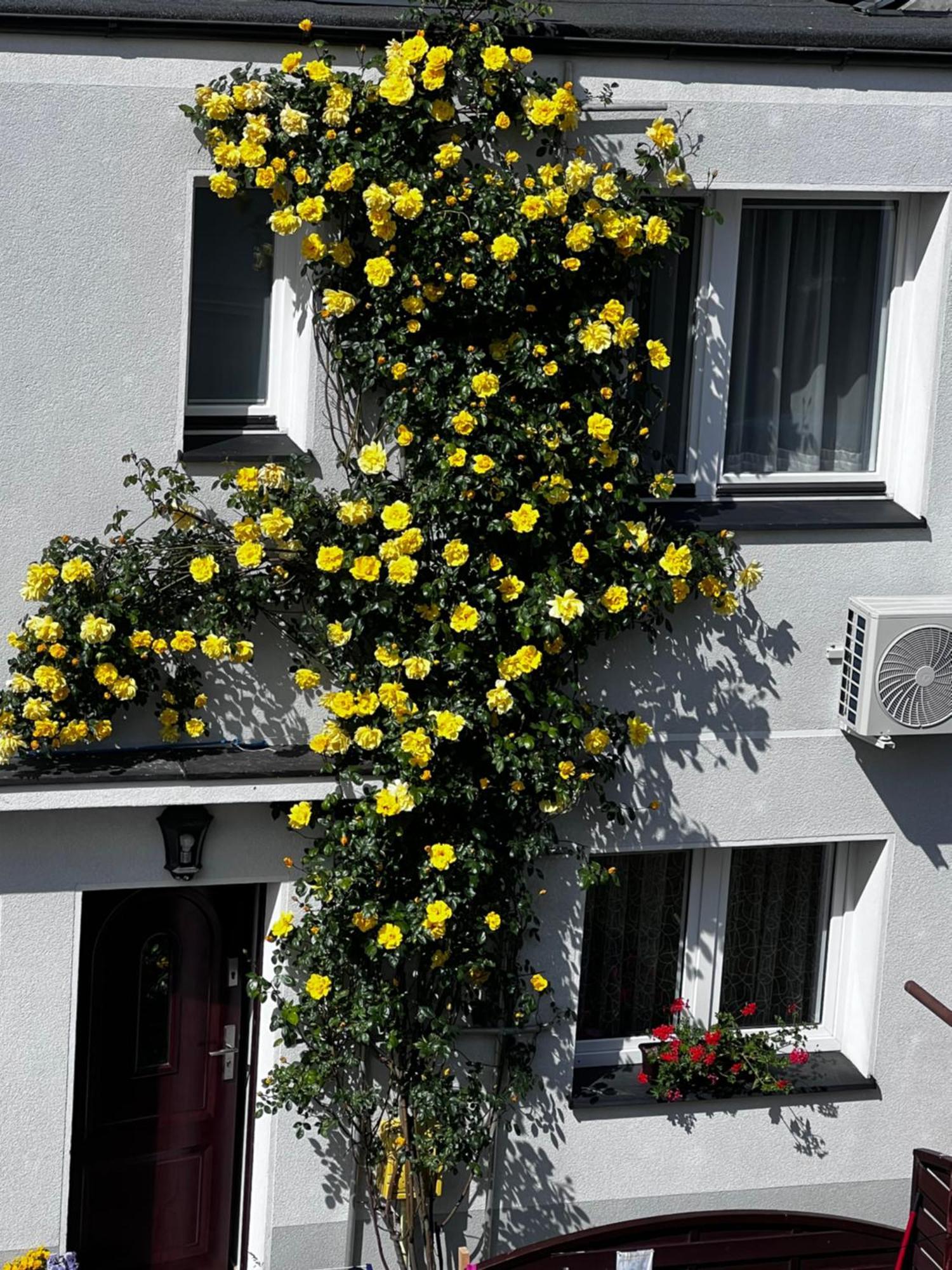 Szyper Apartment Jastarnia Bagian luar foto